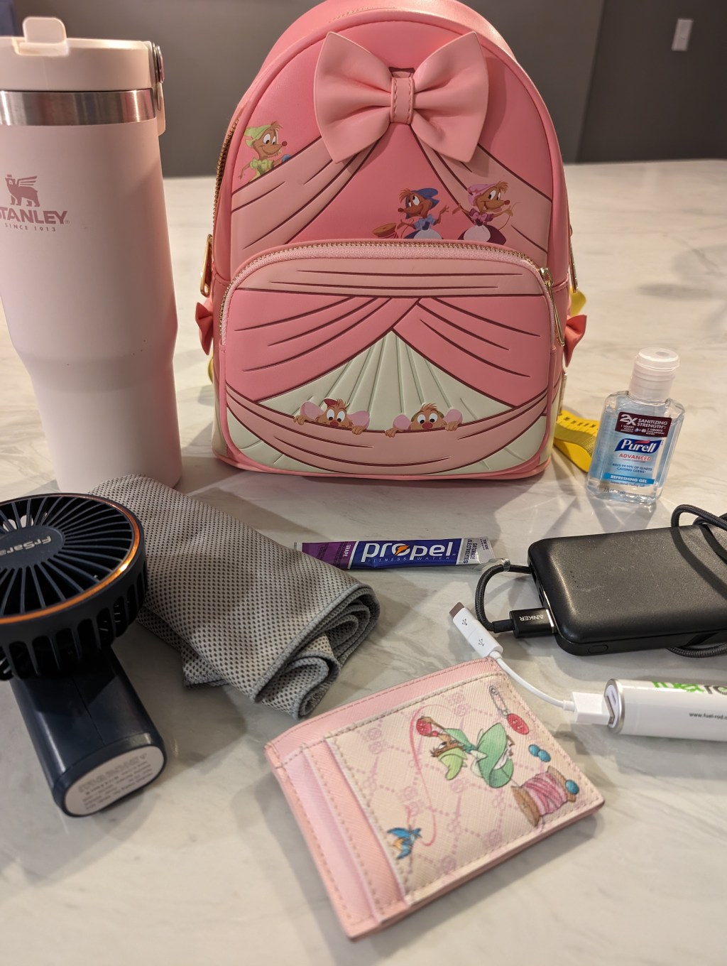 Disney Park Bag&nbsp;Essentials
