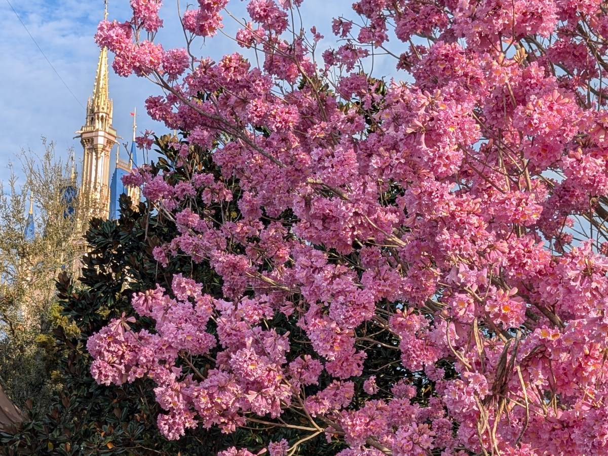 Walt Disney World Planning&nbsp;101