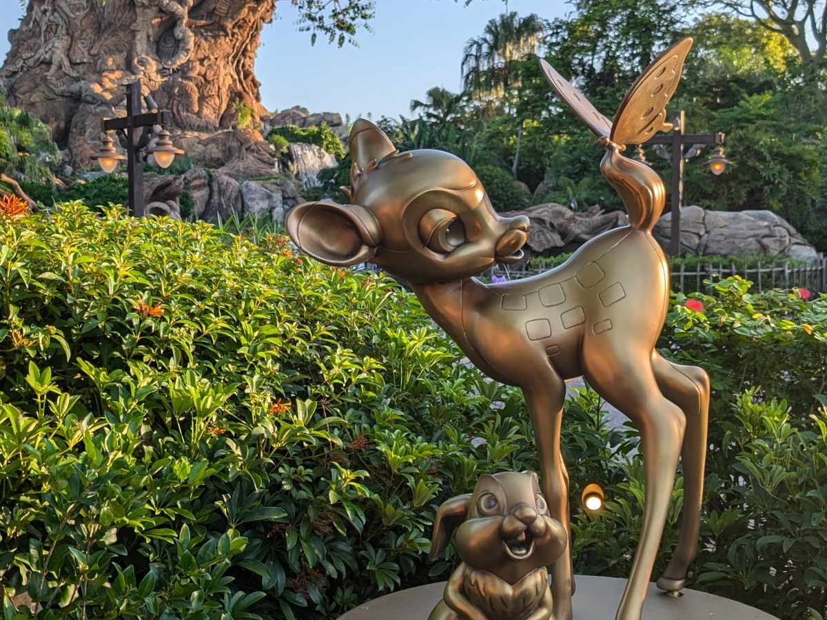 How to Do Animal Kingdom in One Day Without Lightning&nbsp;Lanes