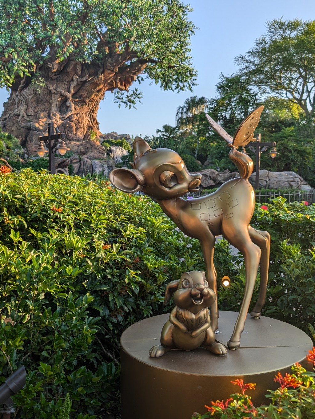 How to Do Animal Kingdom in One Day Without Lightning&nbsp;Lanes